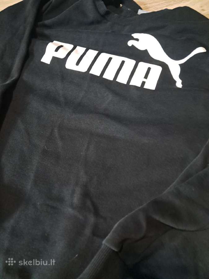Puma dženperis - nuotraukos Nr. 2