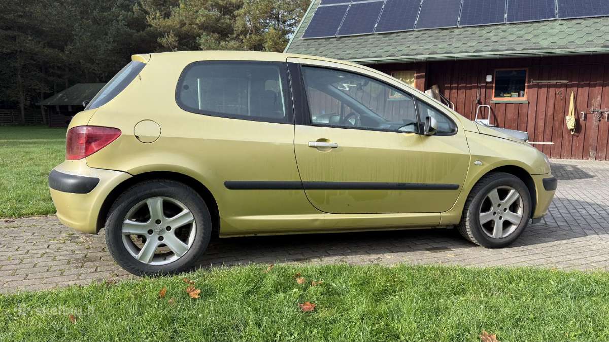 Peugeot 307 - nuotraukos Nr. 2