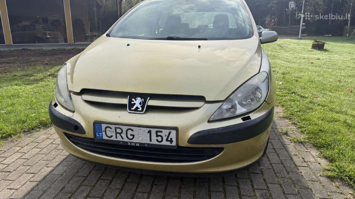 Peugeot 307 - nuotraukos Nr. 9