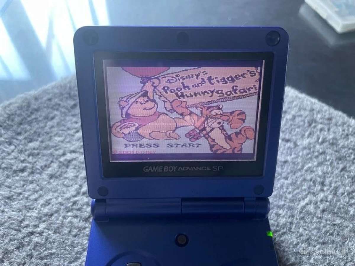 Pooh And Tigger's Hunny Safari Gameboy Color - nuotraukos Nr. 3