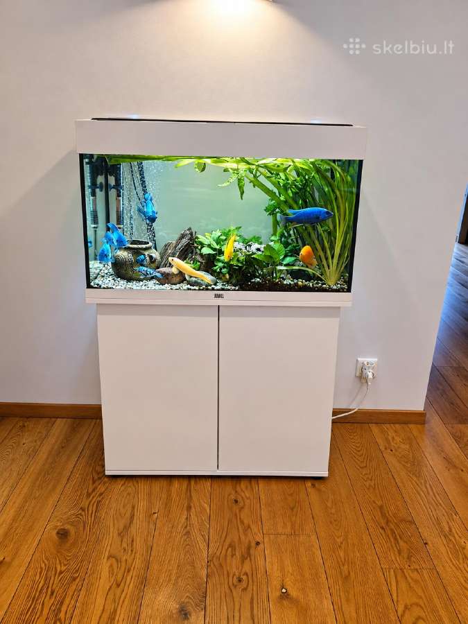 Parduodu Juwel Rio 125 LED baltos spalvos. - nuotraukos Nr. 2