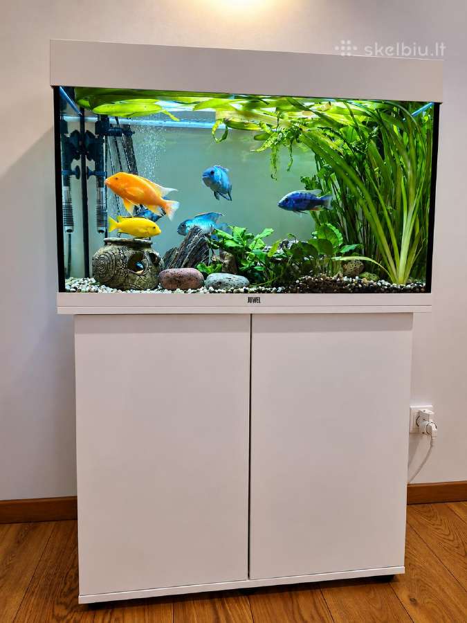 Parduodu Juwel Rio 125 LED baltos spalvos. - nuotraukos Nr. 3