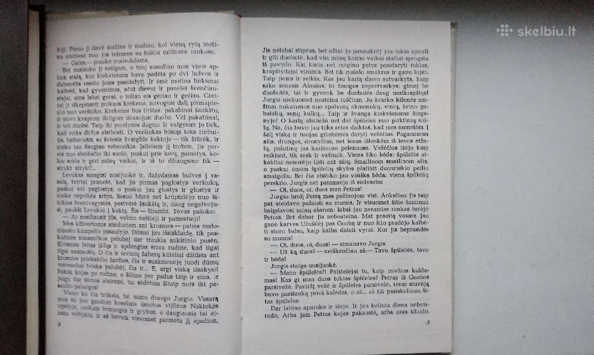 J. Baltušis. Parduotos vasaros. Pirma, antra daly - nuotraukos Nr. 5