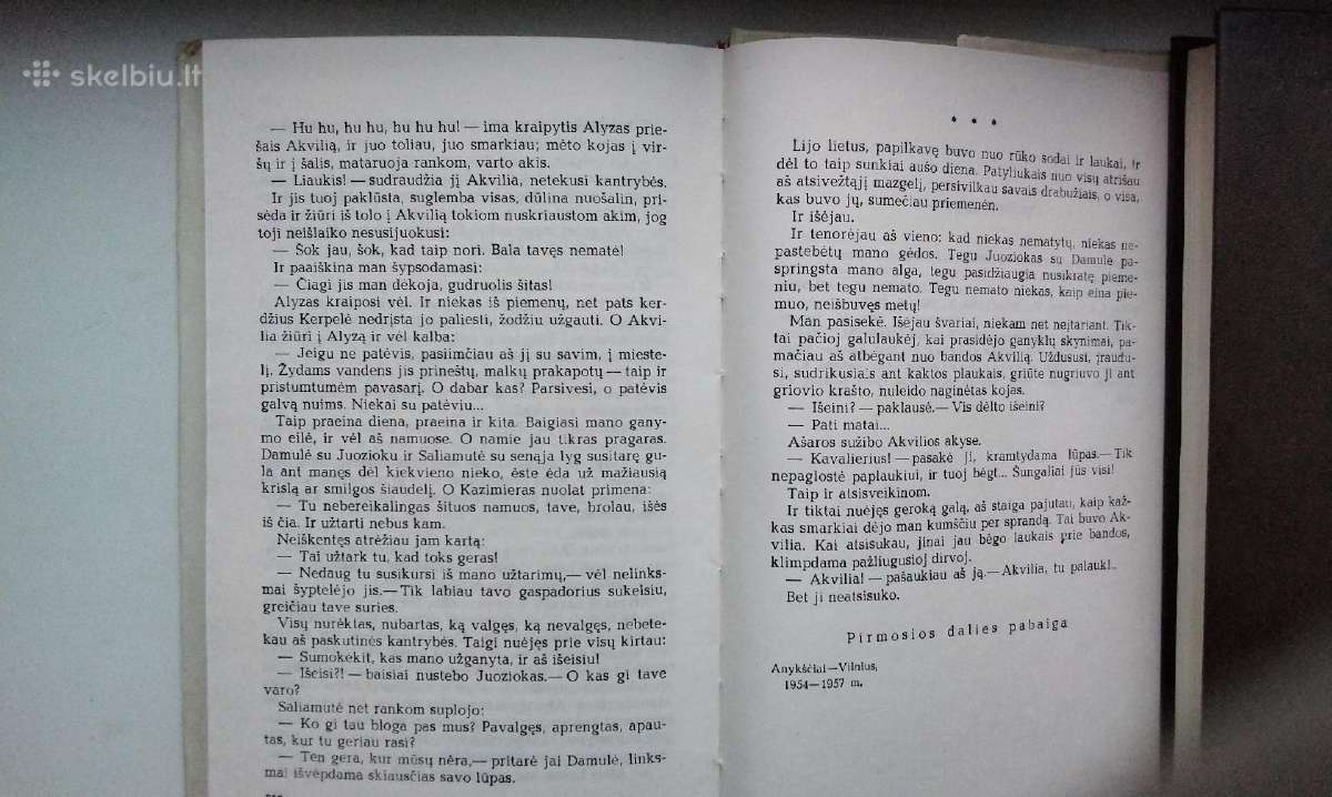 J. Baltušis. Parduotos vasaros. Pirma, antra daly - nuotraukos Nr. 8