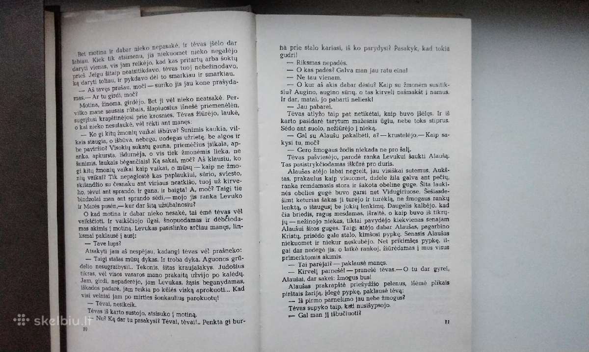 J. Baltušis. Parduotos vasaros. Pirma, antra daly - nuotraukos Nr. 14
