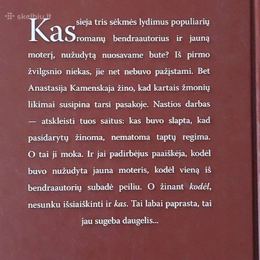 A. Marinina - " Bendraautoriai " - nuotraukos Nr. 5