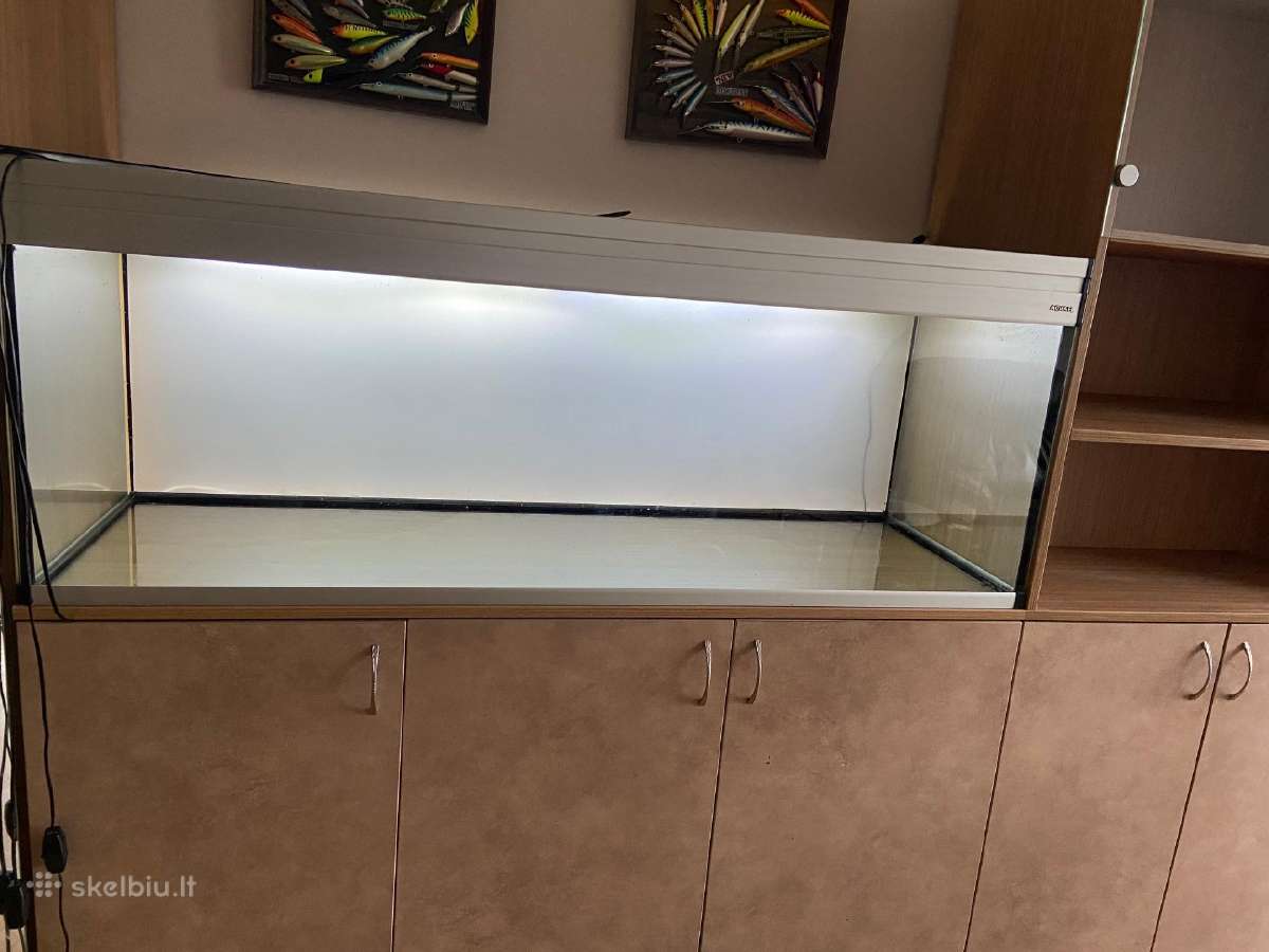 Akvariumas 400 ltr - nuotraukos Nr. 5
