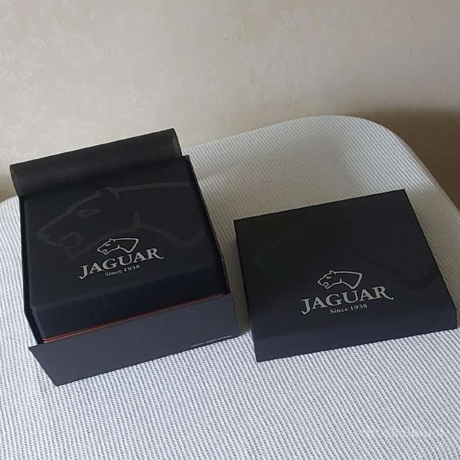 Apyrankė " Jaguar " vyriškam laikrodžiui - nuotraukos Nr. 17