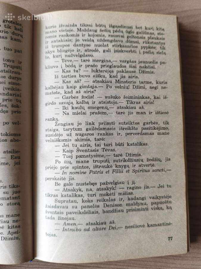 Aleksandras Diuma "Džono Deviso nuotykiai" - nuotraukos Nr. 8