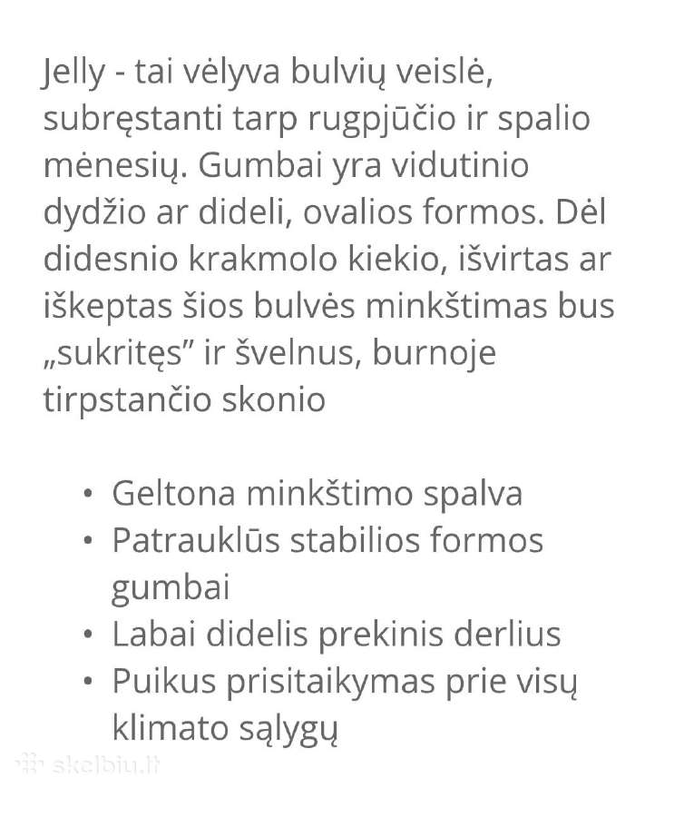 Ekologiškai augintos bulvės Jelly ir Laura - nuotraukos Nr. 4