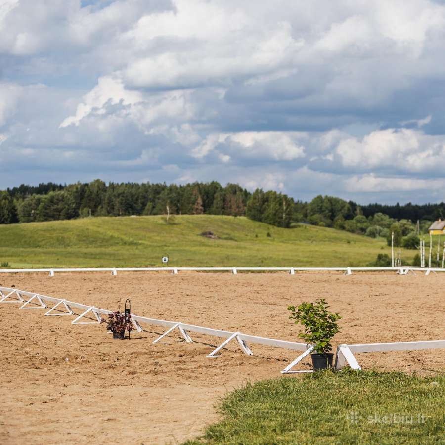 Gardų nuoma žirgams žirgyne Vilniaus rajone - nuotraukos Nr. 10