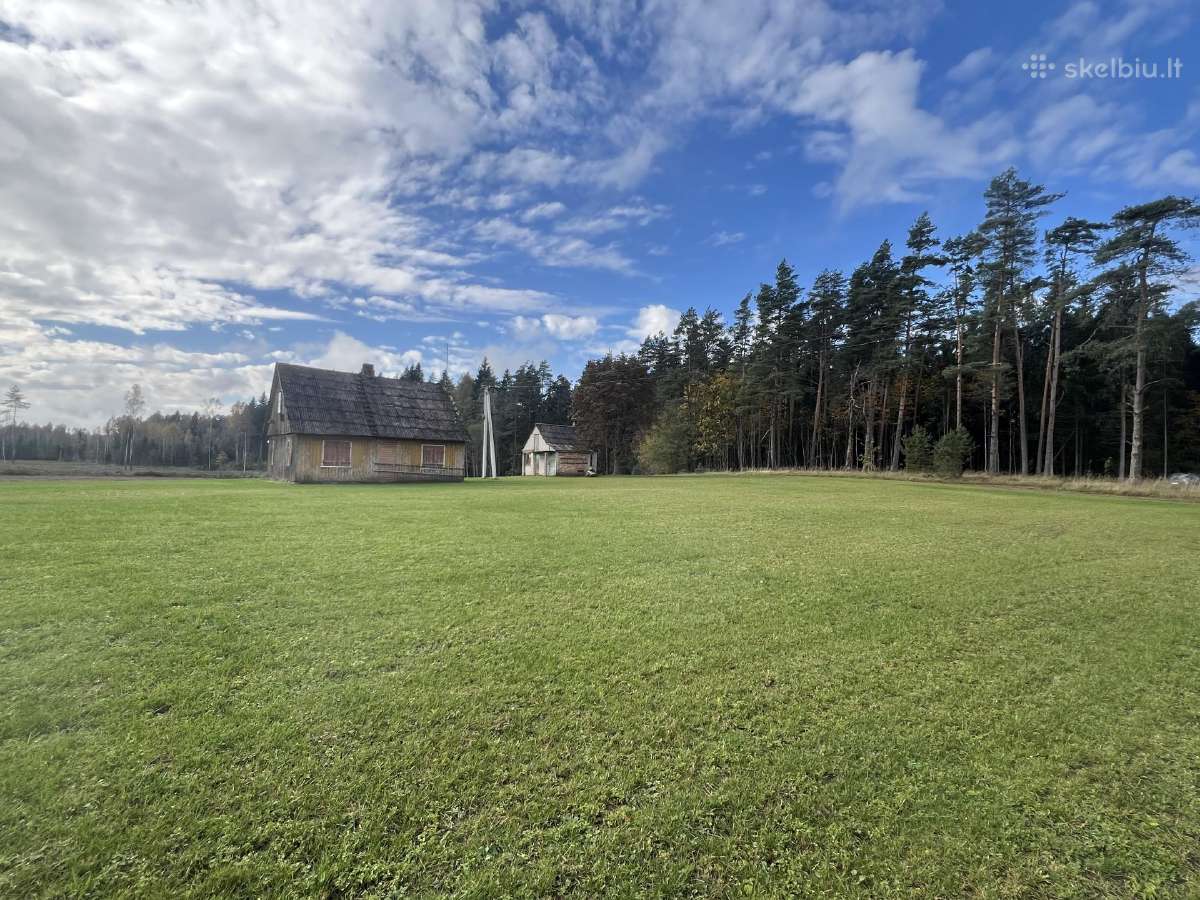 Sodyba su mišku ir žeme ~9km nuo Telšių - nuotraukos Nr. 8