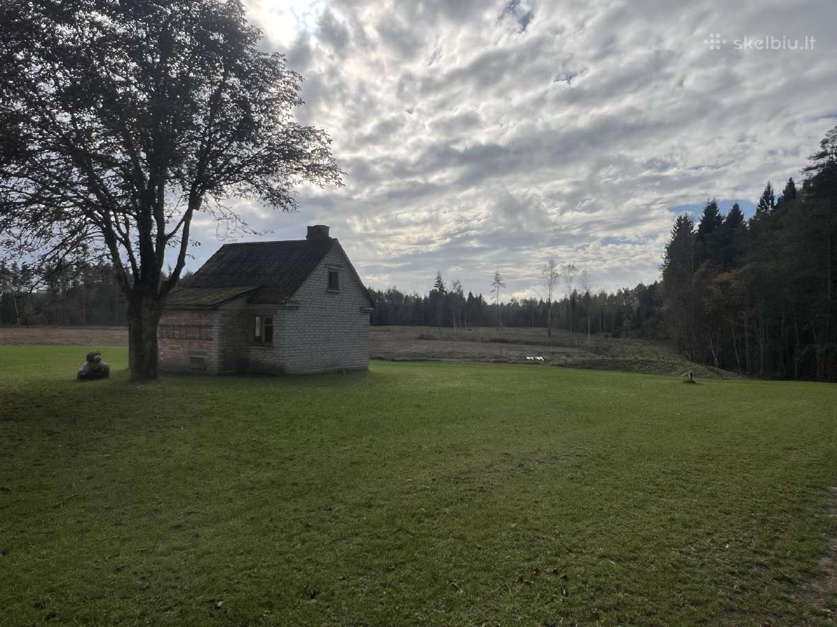 Sodyba su mišku ir žeme ~9km nuo Telšių - nuotraukos Nr. 11