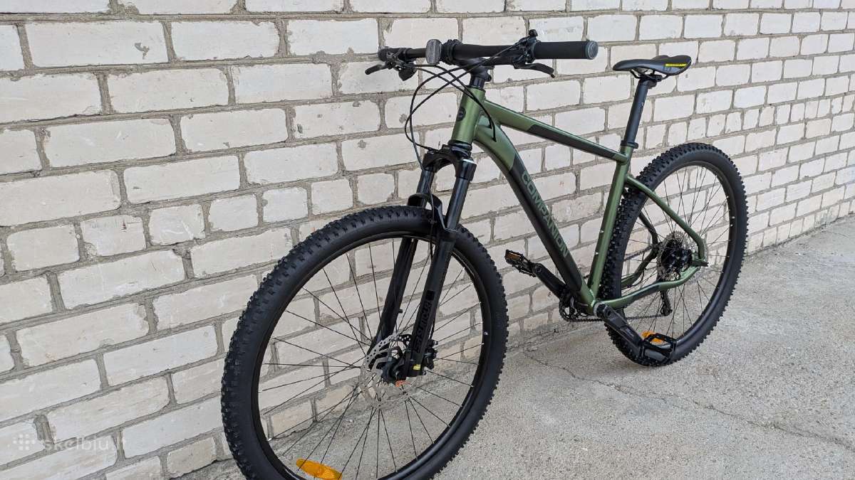 Companion 29er, 1x11sp - nuotraukos Nr. 19