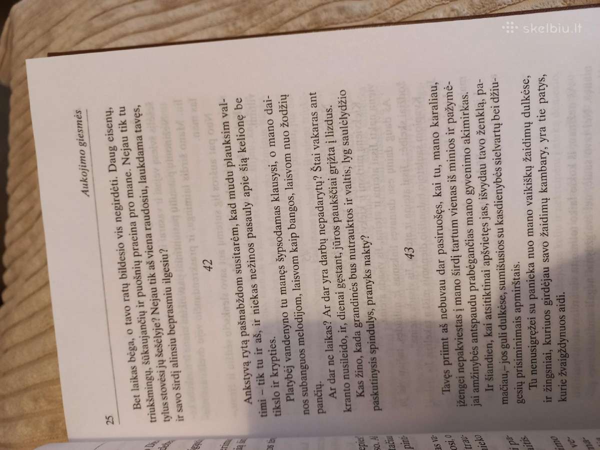 Pasaulinė literatūra - nuotraukos Nr. 11