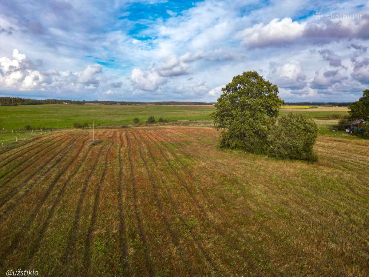 1,12 Ha namų valdos sklypas netoli Klaipėdos! - nuotraukos Nr. 8