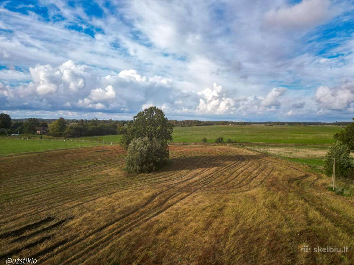 1,12 Ha namų valdos sklypas netoli Klaipėdos! - nuotraukos Nr. 9