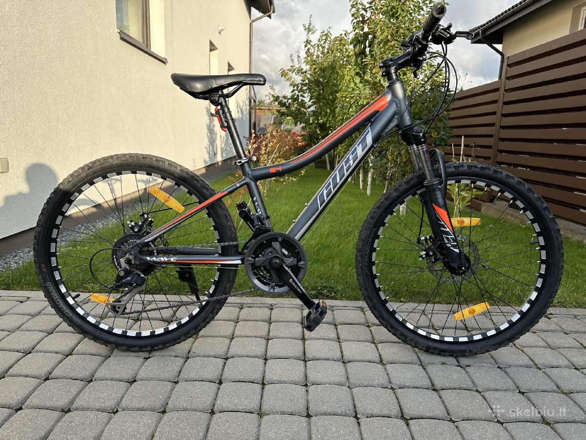 Dviratis Gust Wave 24 - nuotraukos Nr. 2