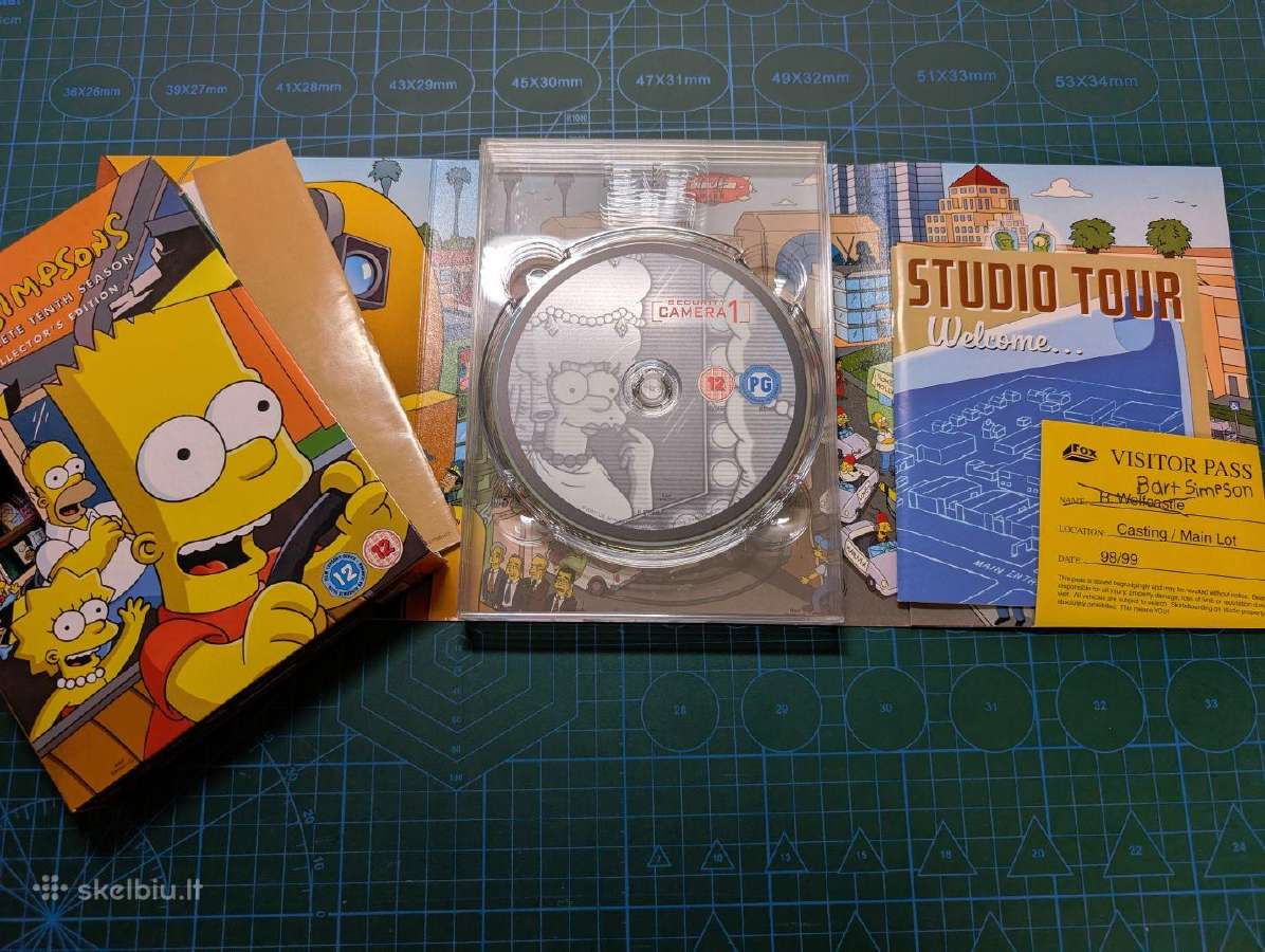 Simpsons Dvd Collectors Edition 10 sezonas - nuotraukos Nr. 2