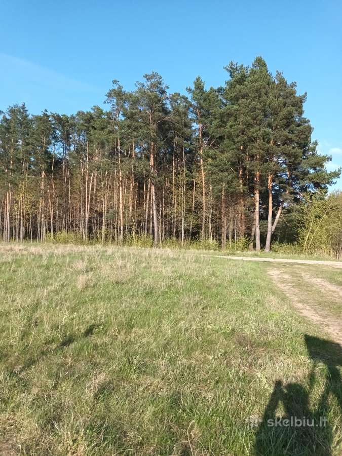 Žemės sklypas 1.3 ha ,gyvenamųjų namų statybai - nuotraukos Nr. 2
