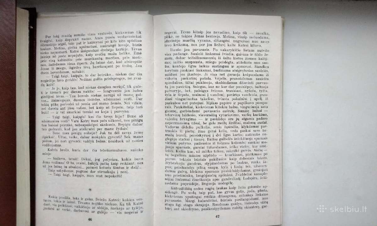 Žemaitė. Marti. 1985 m. leid. - nuotraukos Nr. 7