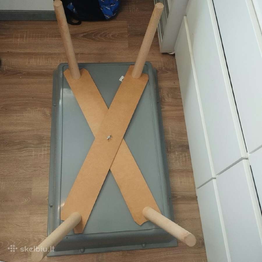 Jūrų kiaulytes suage ir jaunikliai - nuotraukos Nr. 11