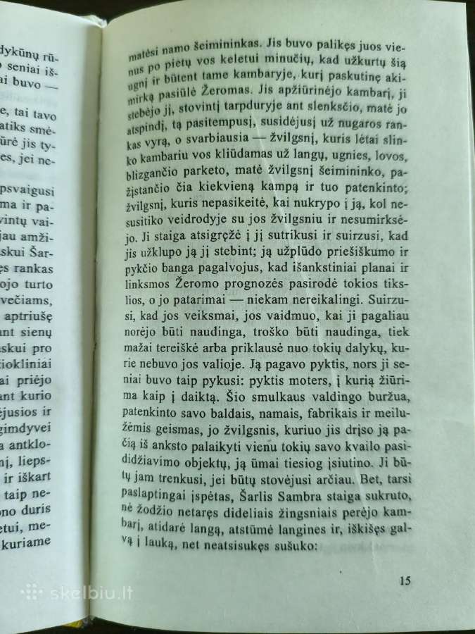 Francoise Sagan "Netekęs vilties" - nuotraukos Nr. 7