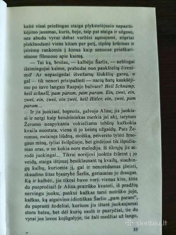 Francoise Sagan "Netekęs vilties" - nuotraukos Nr. 8
