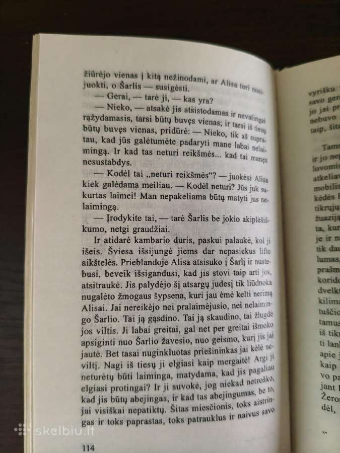 Francoise Sagan "Netekęs vilties" - nuotraukos Nr. 9