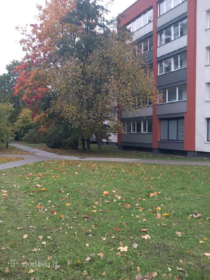 Išnuomoju 1-o kambario butą renovuotame name - nuotraukos Nr. 4