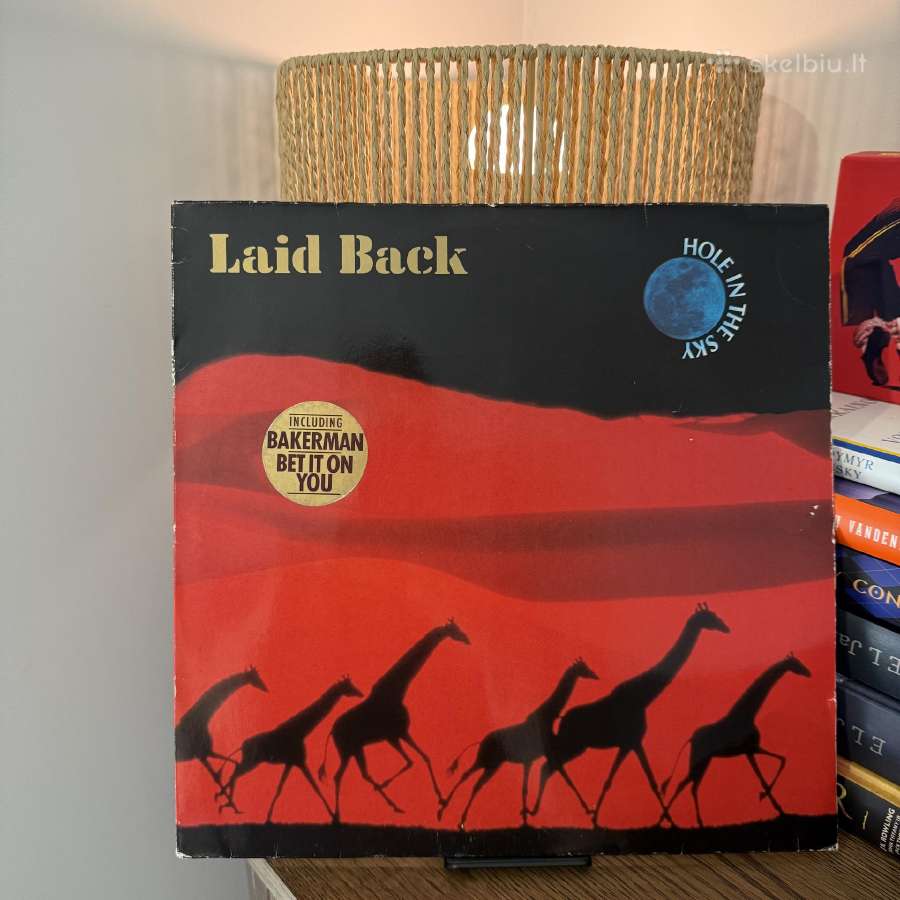 Vinilinės plokštelės - nuotraukos Nr. 16