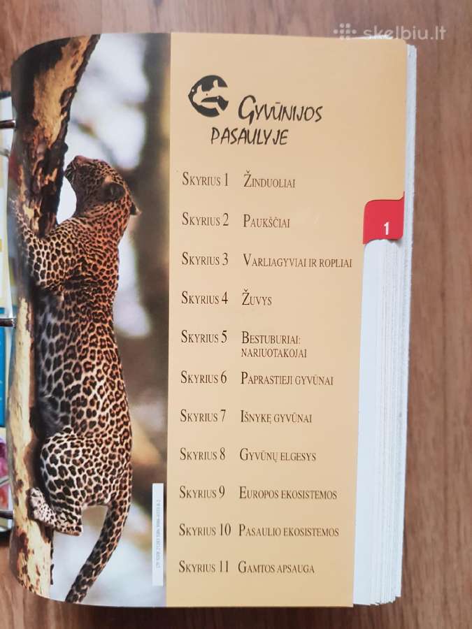 Enciklopedija skelbimai - nuotraukos Nr. 3