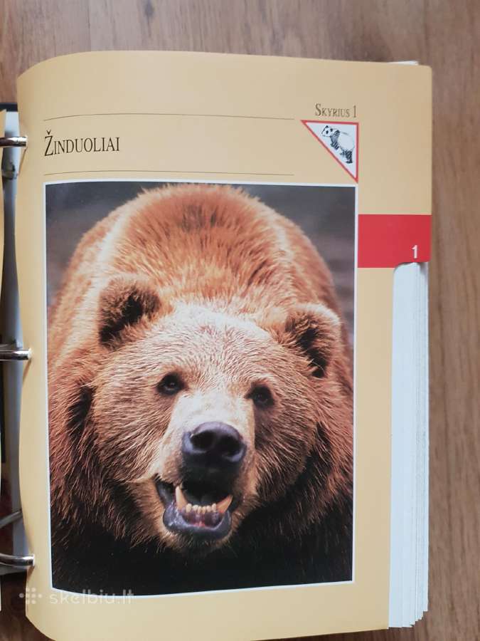 Enciklopedija skelbimai - nuotraukos Nr. 4