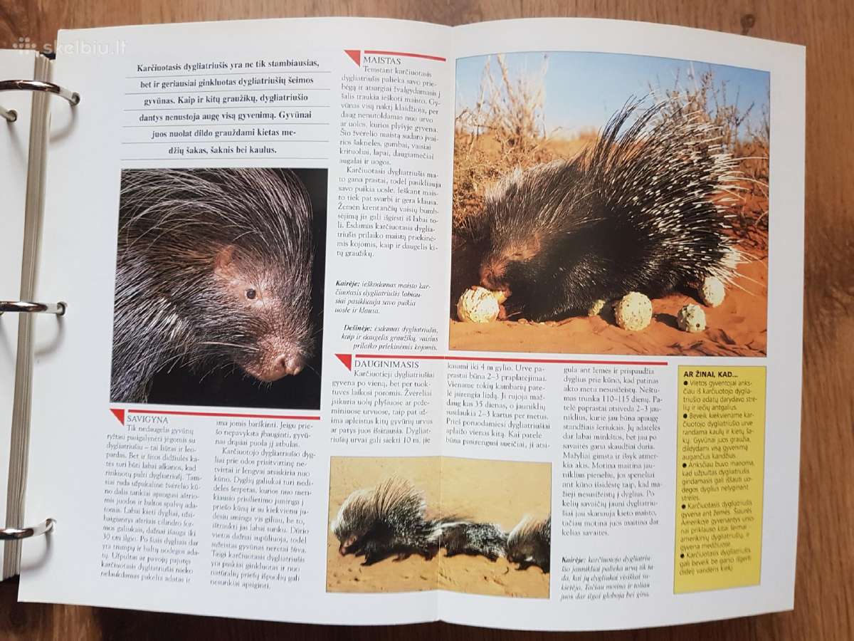 Enciklopedija skelbimai - nuotraukos Nr. 6