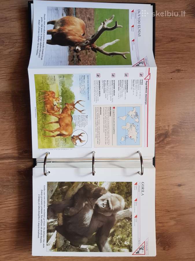 Enciklopedija skelbimai - nuotraukos Nr. 8