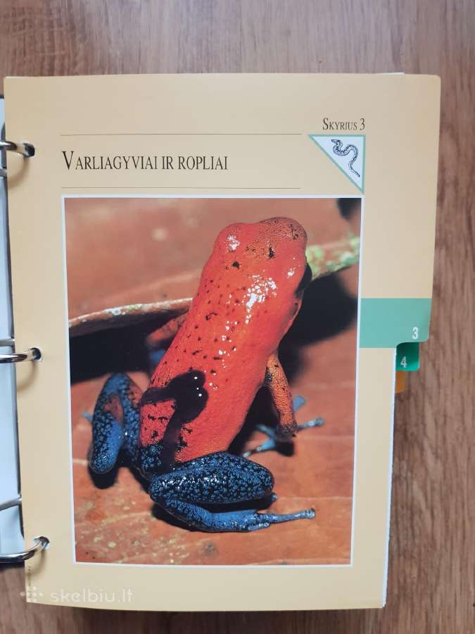 Enciklopedija skelbimai - nuotraukos Nr. 16