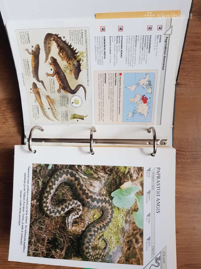 Enciklopedija skelbimai - nuotraukos Nr. 20