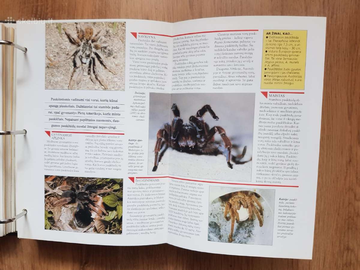 Enciklopedija skelbimai - nuotraukos Nr. 28