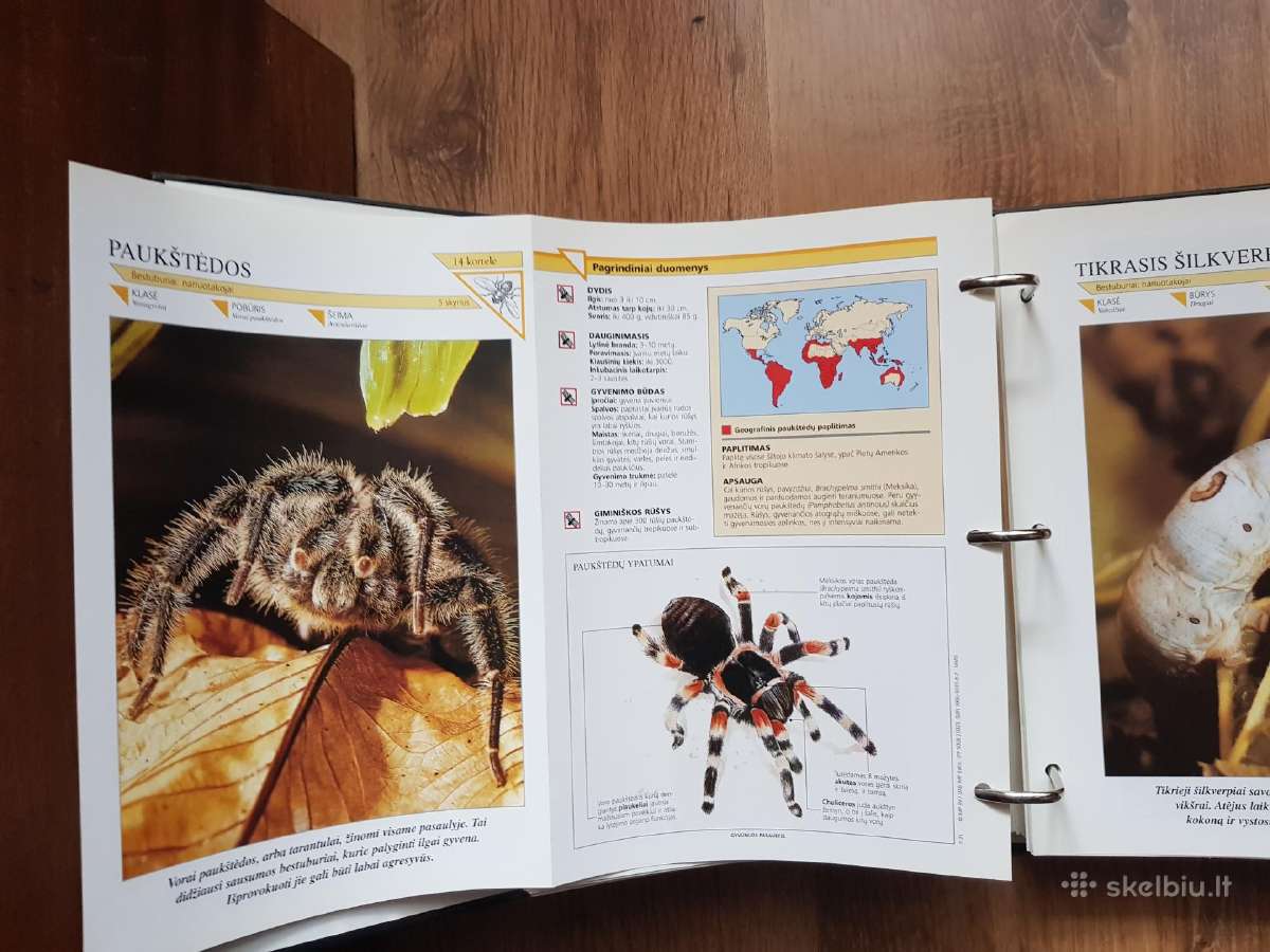 Enciklopedija skelbimai - nuotraukos Nr. 29