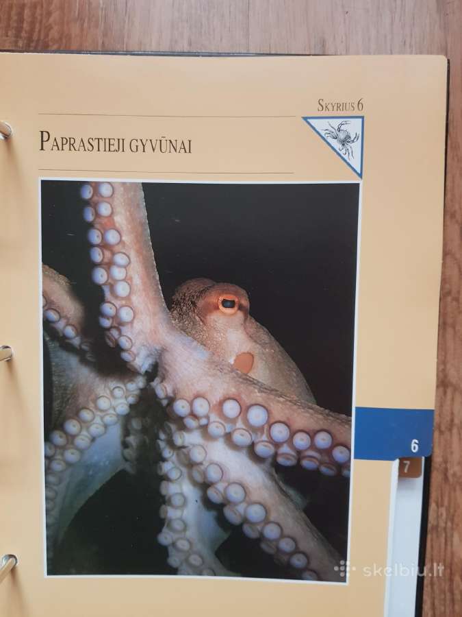 Enciklopedija skelbimai - nuotraukos Nr. 31