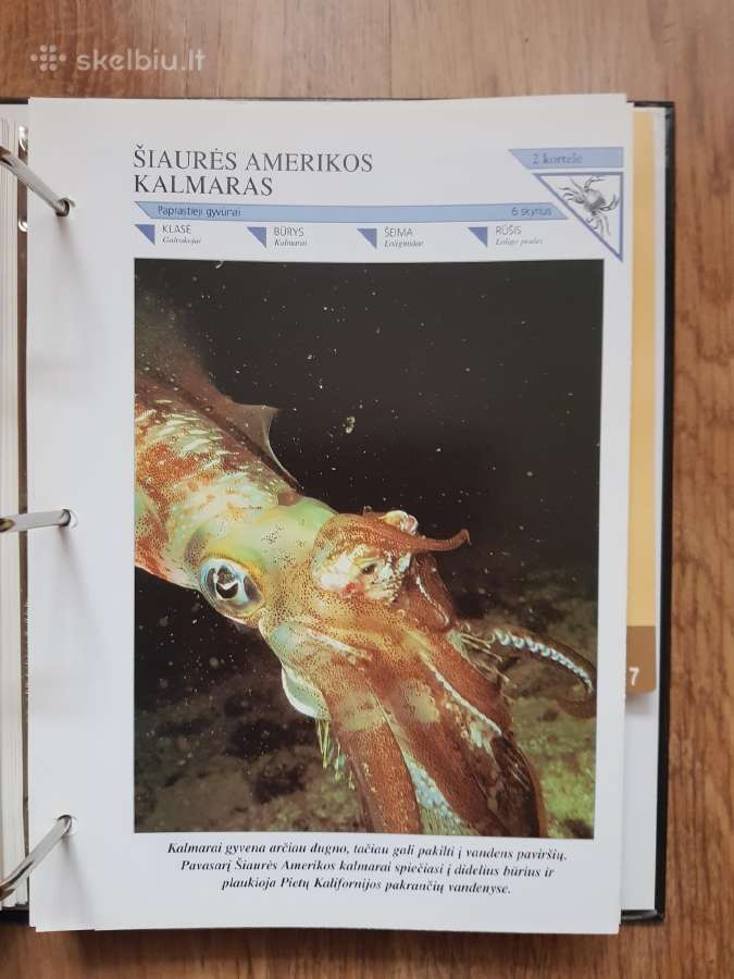 Enciklopedija skelbimai - nuotraukos Nr. 32