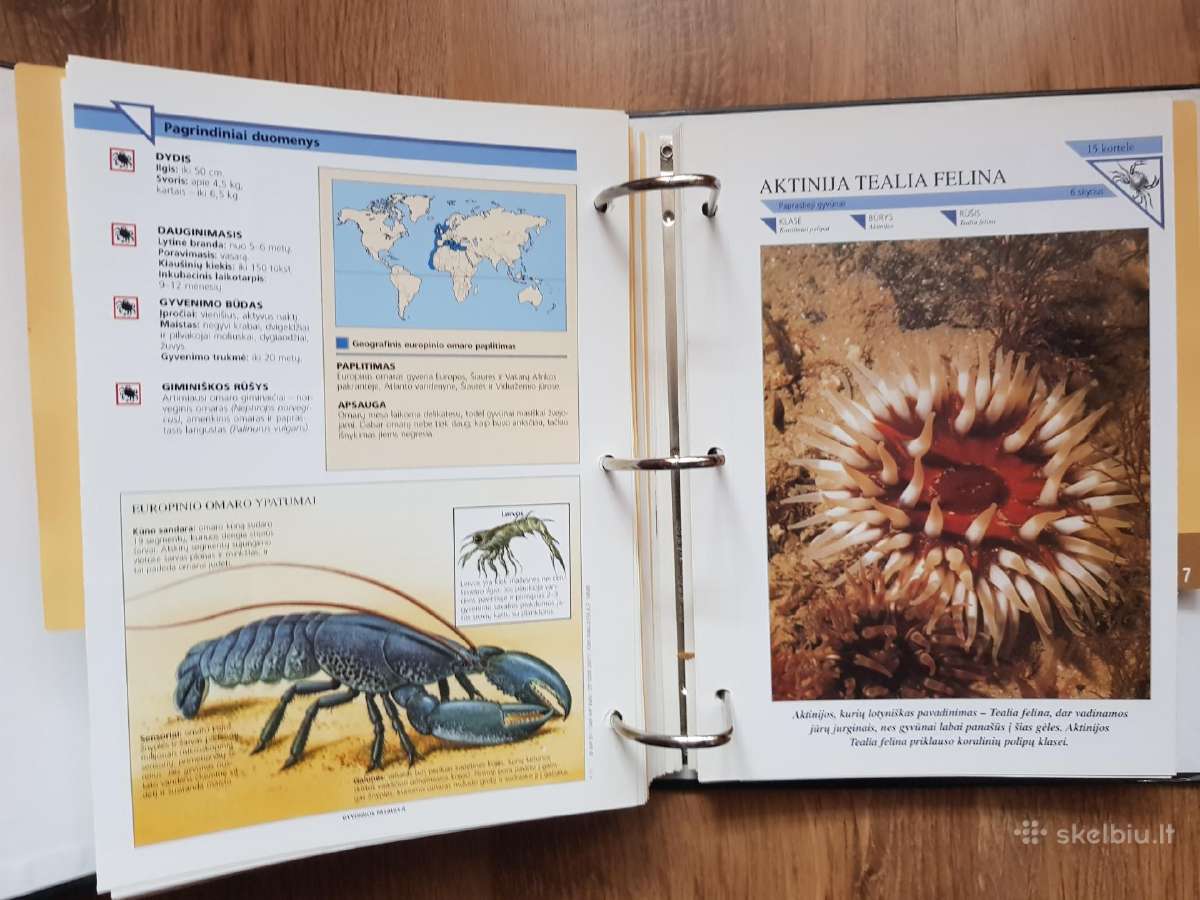 Enciklopedija skelbimai - nuotraukos Nr. 35