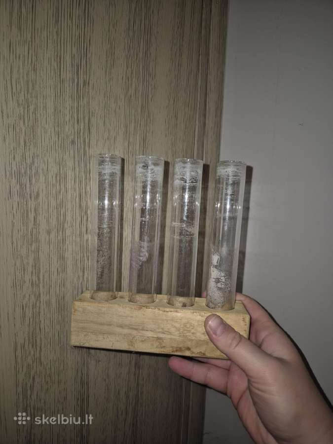 Kambariniai augalai ir reikmenys - nuotraukos Nr. 18