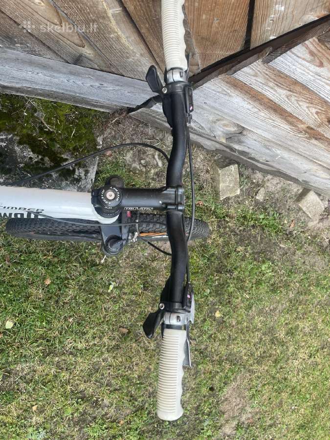 Dviratis Steppenwolf Edition Timber - nuotraukos Nr. 2