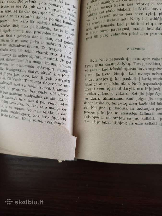 F. Dostojevskis "Pažemintieji ir nuskriaustieji" - nuotraukos Nr. 10