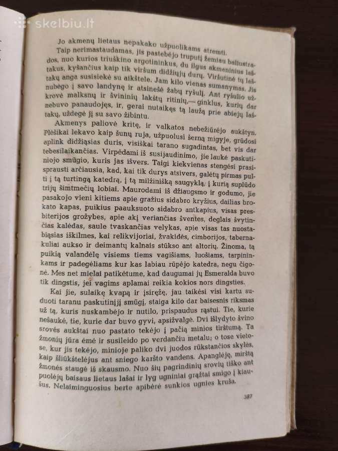 Victor Hugo "Paryžiaus katedra" - nuotraukos Nr. 8
