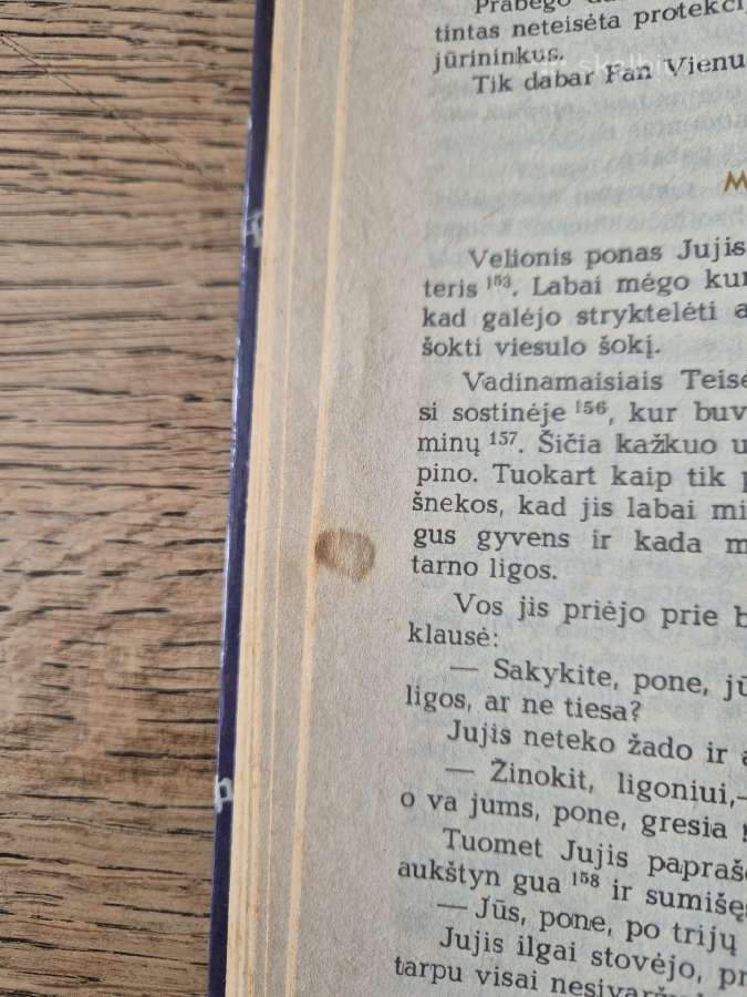 Liao Čžajo pasakojimai apie nebūtus dalykus - nuotraukos Nr. 7