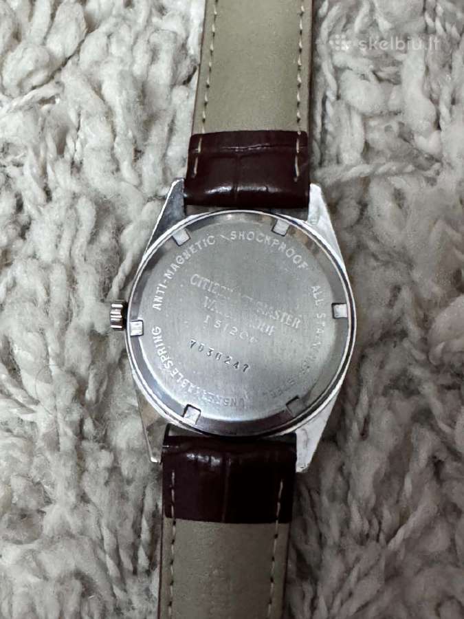 Citizen Homer Date - nuotraukos Nr. 4