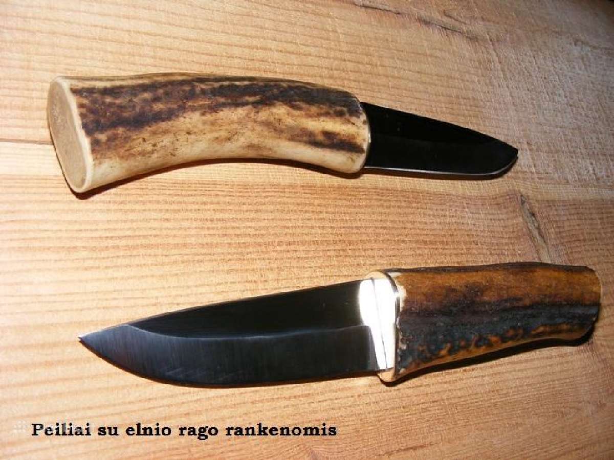 Elnių ragai peilių gamybai - nuotraukos Nr. 3