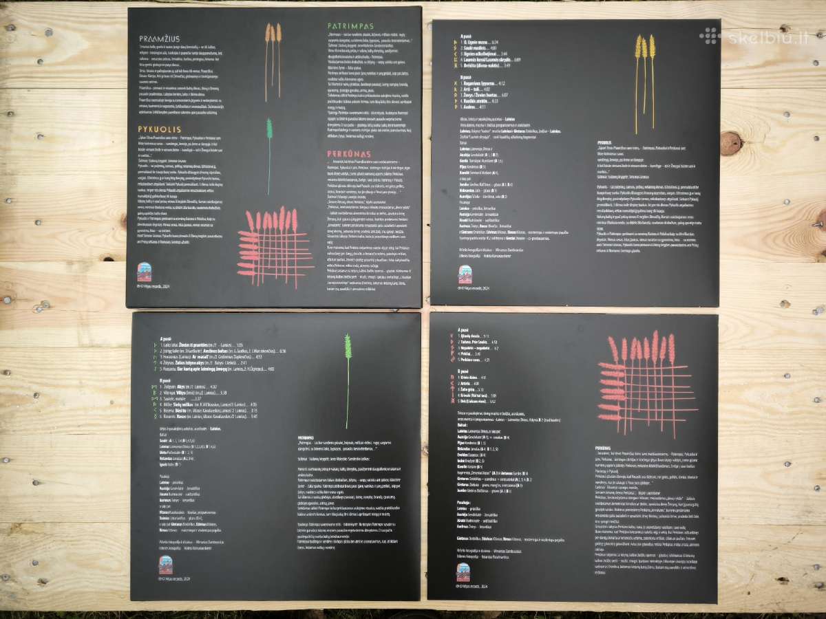 Vinilinės plokštelės, Lp dėklas-lagaminas - nuotraukos Nr. 15